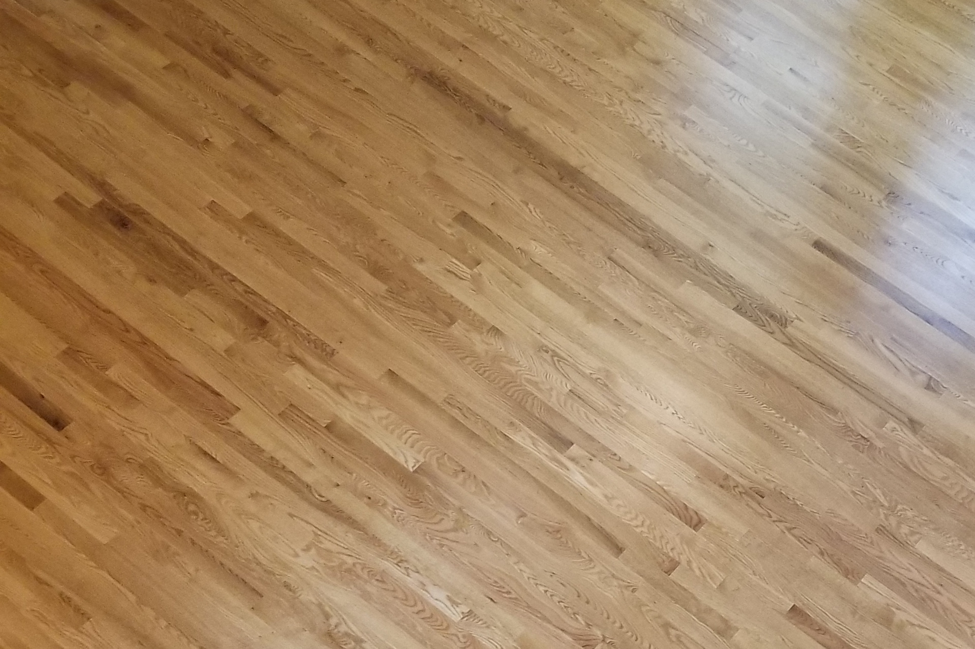 Ref Floors Service